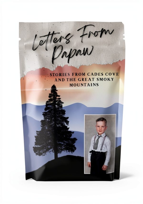 Christian Children's Historical Fiction eBook by East Tennessee-0
